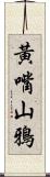 黃嘴山鴉 Scroll