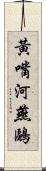 黃嘴河燕鷗 Scroll