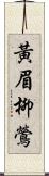 黃眉柳鶯 Scroll