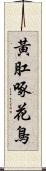 黃肛啄花鳥 Scroll