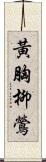 黃胸柳鶯 Scroll