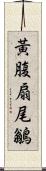 黃腹扇尾鶲 Scroll