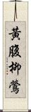 黃腹柳鶯 Scroll