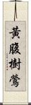 黃腹樹鶯 Scroll