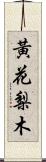 黃花梨木 Scroll