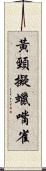 黃頸擬蠟嘴雀 Scroll