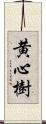 黄心樹 Scroll