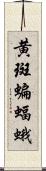 黄斑蝙蝠蛾 Scroll