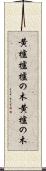 黄櫨 Scroll
