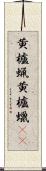 黄櫨蝋 Scroll