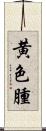 黄色腫 Scroll