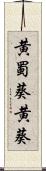 黄蜀葵 Scroll