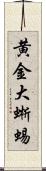 黄金大蜥蜴 Scroll