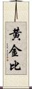 黄金比 Scroll