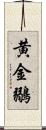 黄金鶸 Scroll