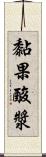 黏果酸漿 Scroll