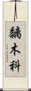 黐木科 Scroll