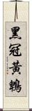 黑冠黃鵯 Scroll