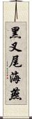 黑叉尾海燕 Scroll