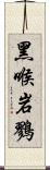 黑喉岩鷚 Scroll