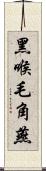 黑喉毛角燕 Scroll