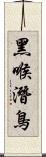 黑喉潛鳥 Scroll