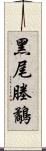 黑尾塍鷸 Scroll