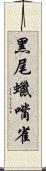 黑尾蠟嘴雀 Scroll