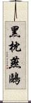 黑枕燕鷗 Scroll