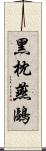 黑枕燕鷗 Scroll