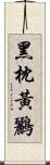 黑枕黃鸝 Scroll