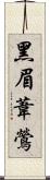 黑眉葦鶯 Scroll