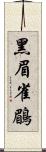 黑眉雀鶥 Scroll