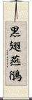 黑翅燕鴴 Scroll