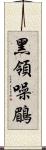 黑領噪鶥 Scroll