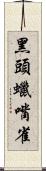 黑頭蠟嘴雀 Scroll