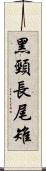 黑頸長尾雉 Scroll