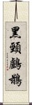 黑頸鸕鶿 Scroll