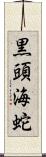 黒頭海蛇 Scroll
