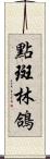 點斑林鴿 Scroll