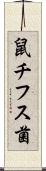 鼠チフス菌 Scroll