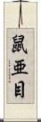 鼠亜目 Scroll