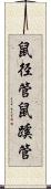 鼠径管 Scroll