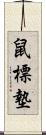 鼠標墊 Scroll