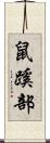 鼠蹊部 Scroll