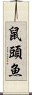 鼠頭魚 Scroll