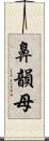 鼻韻母 Scroll