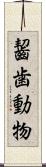 齧歯動物 Scroll