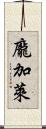 龐加萊 Scroll