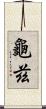 龜茲 Scroll